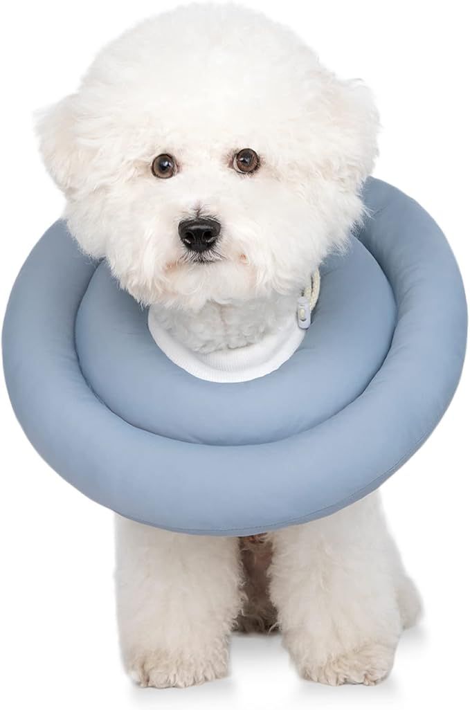 Soft Dog Cone Alternative for Small Dogs, Cats & Medium Dogs - Comfortable, Adjustable  Collar for Recovery