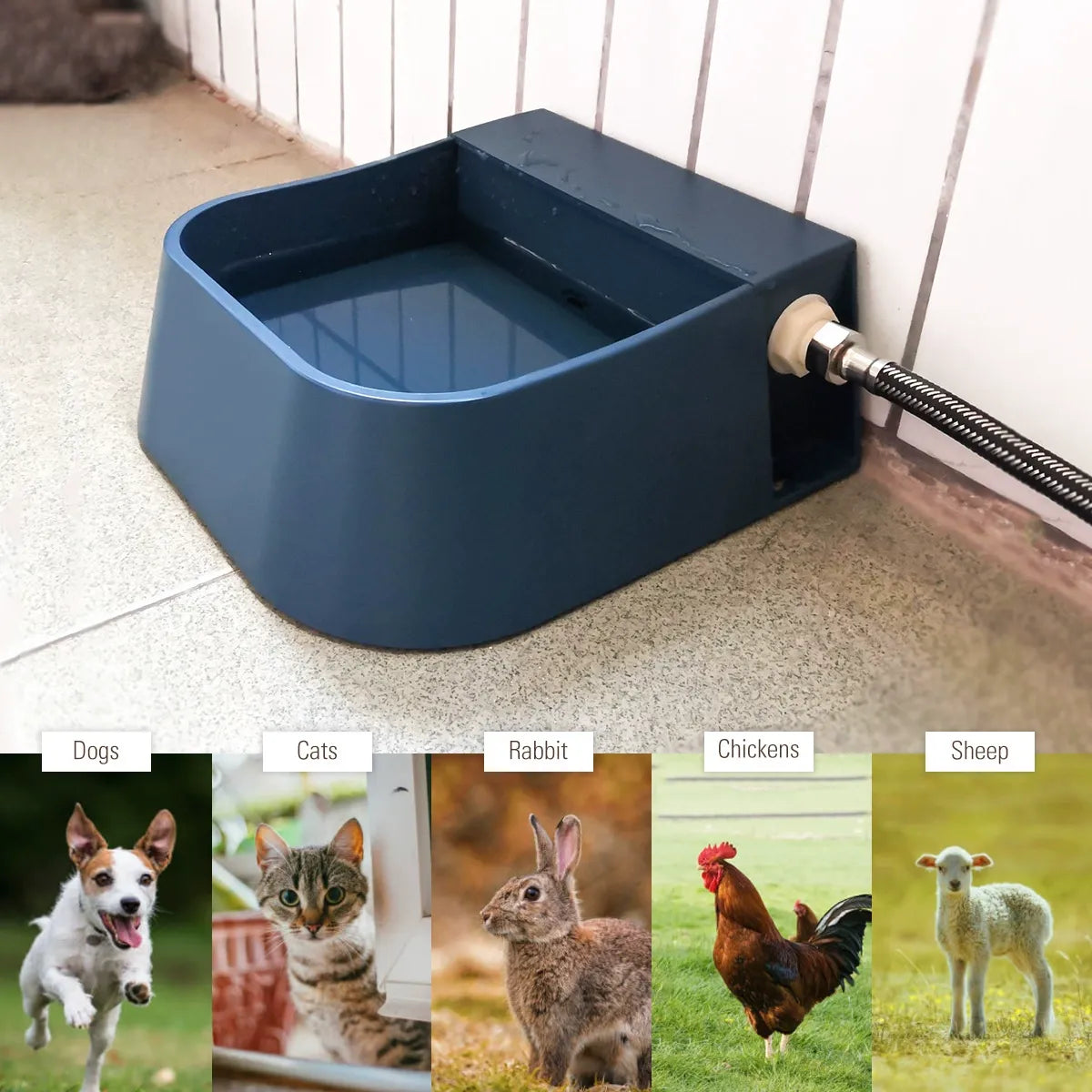 Automatic Water Dispenser for Dogs with Heater, Outdoor and Indoor, 2L Heated Water Bowl, Heated Watering Trough for Cats Chickens Rabbits Birds Bath Auto-Fill
