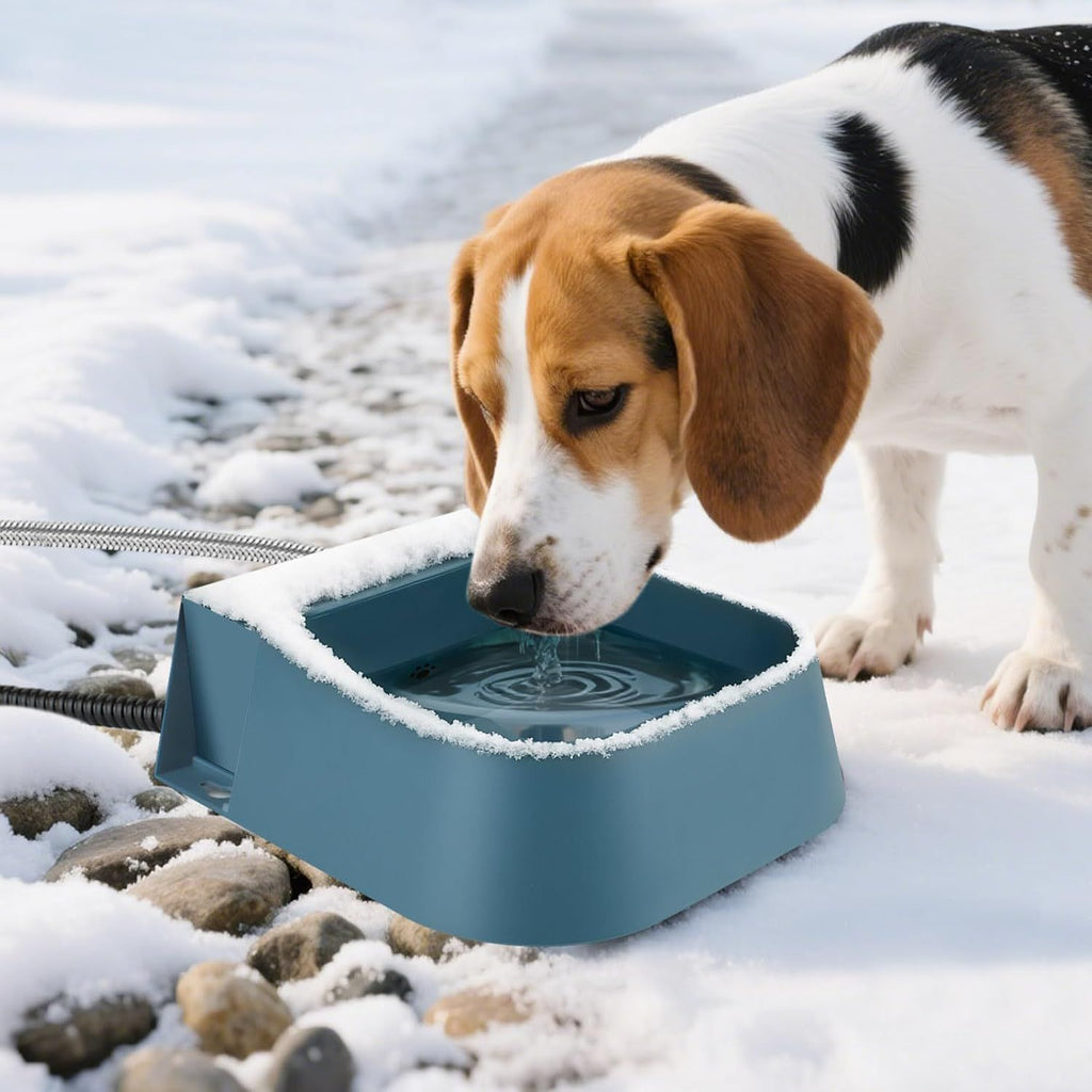 Automatic Water Dispenser for Dogs with Heater, Outdoor and Indoor, 2L Heated Water Bowl, Heated Watering Trough for Cats Chickens Rabbits Birds Bath Auto-Fill
