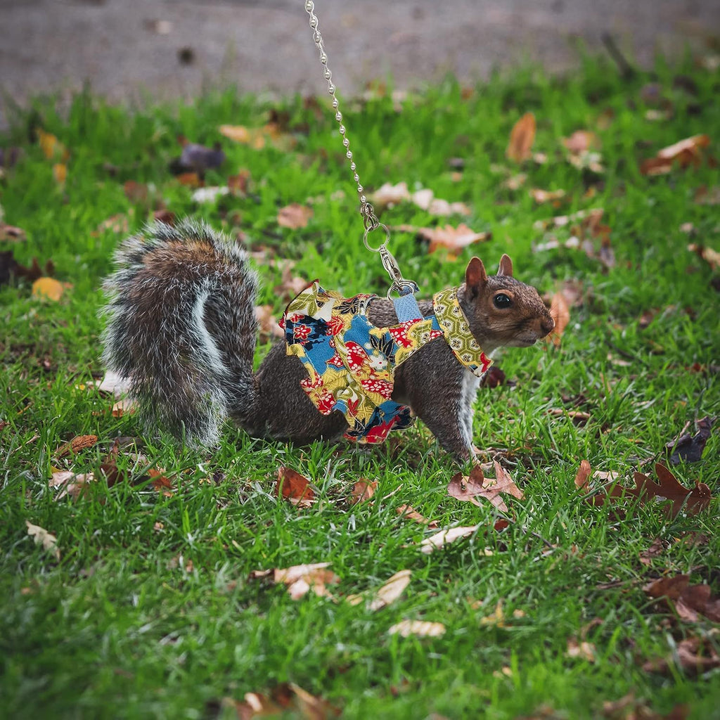 Squirrel Harness and Leash Set, Adjustable Flora Blue Printing, for Ferret, Squirrel, Dwarf Chinchilla, Guinea Pig, Fancy Rat（Flower color）S