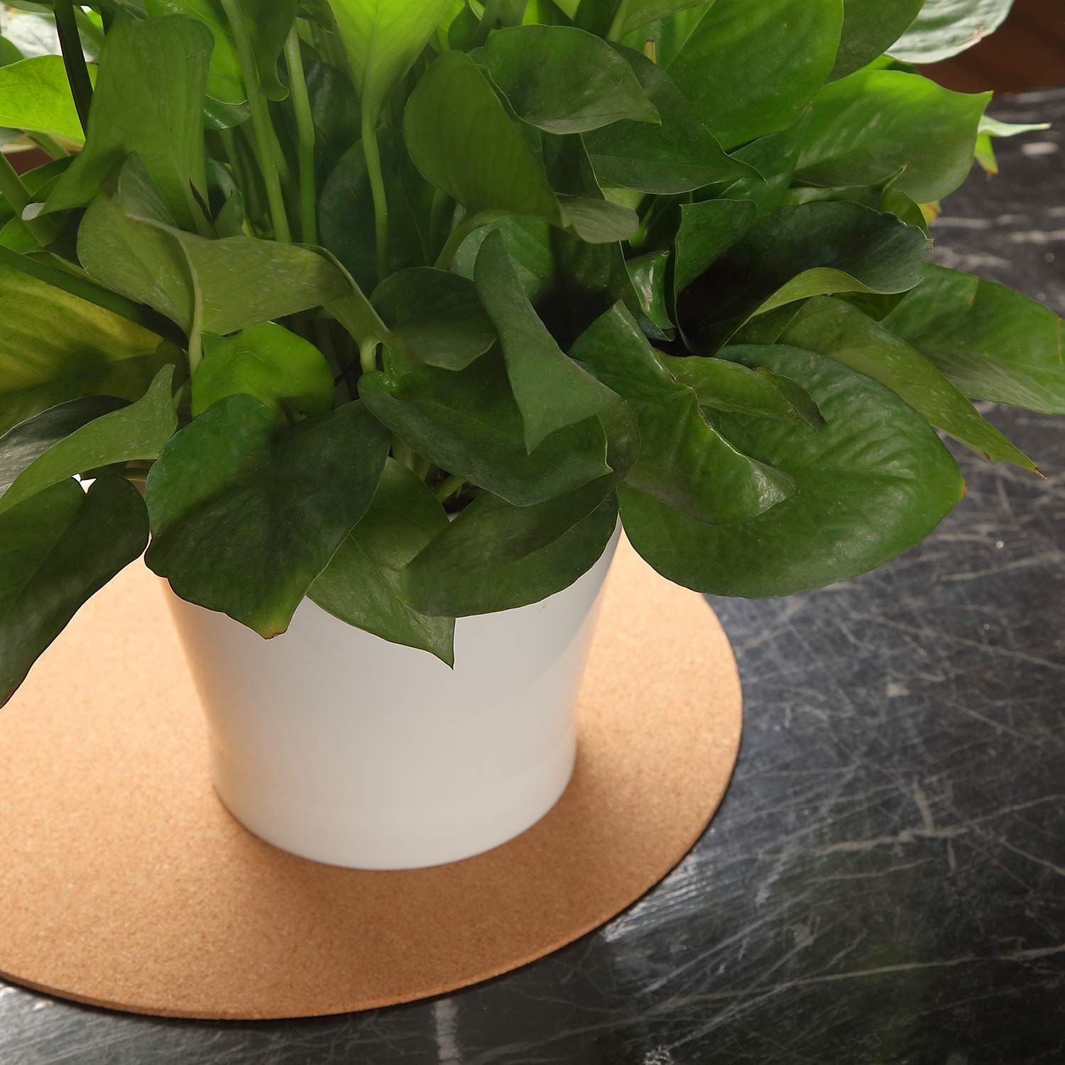 30cm Large Cork Plant Coasters, 2 Pieces Cork Plant Mats, Cork Coaster for Planters, Large Plant Coasters for House Plants Indoor Outdoor (Nude & Black)