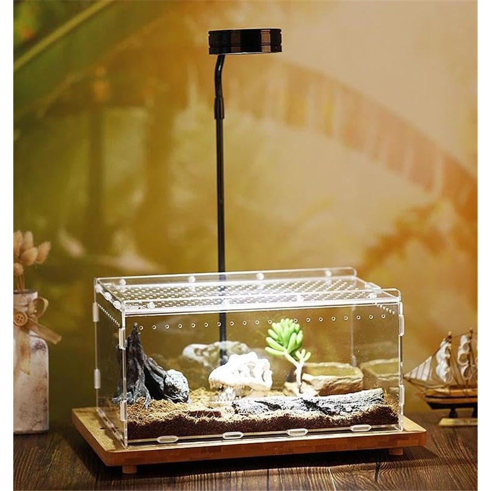 Magnetic Acrylic Case, Micro Habitat Small Tarantula Enclosure Enclosure for arboreal Tarantula Scorpion Sling Lizards Mantis Snake Gecko Jumping Spider Snail Insect Isopods (20X12X12cm  horizontal version)