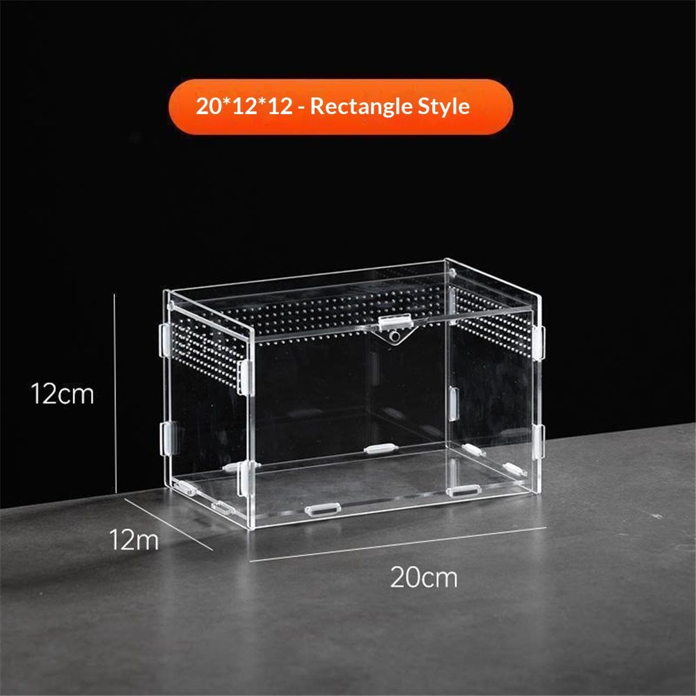 Magnetic Acrylic Case, Micro Habitat Small Tarantula Enclosure Enclosure for arboreal Tarantula Scorpion Sling Lizards Mantis Snake Gecko Jumping Spider Snail Insect Isopods (20X12X12cm  horizontal version)
