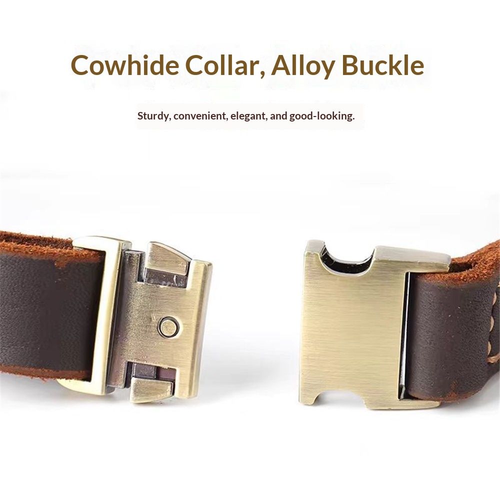 Real Leather Dog Collar, Premium Adjustable Fit with Durable Buckle, Stylish Comfort for Dogs (Small)Insert deduction payment