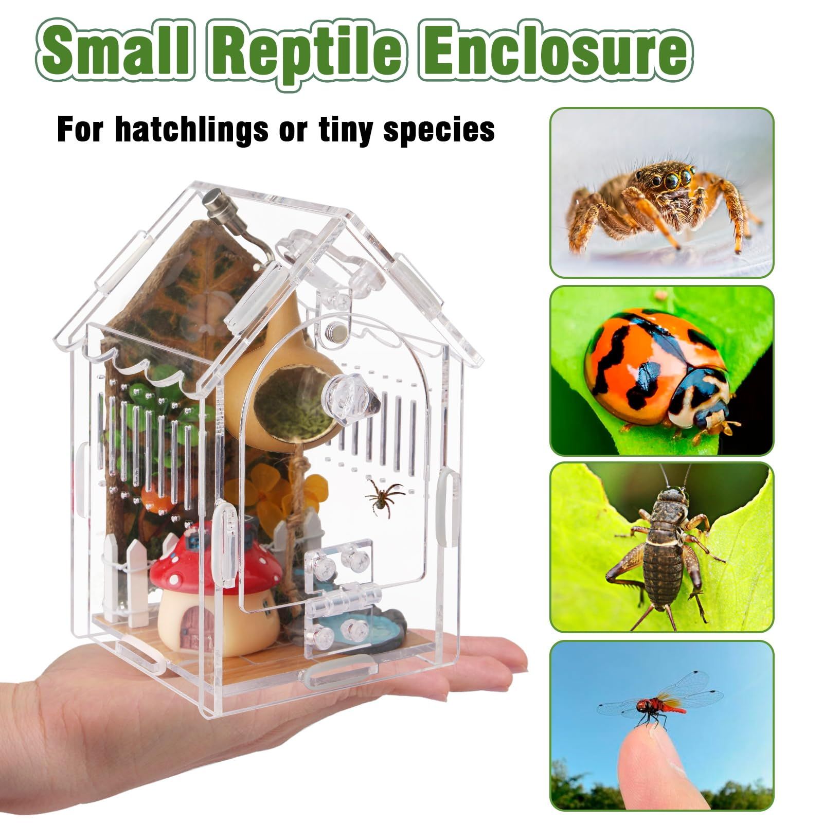 Jumping Spider Enclosure - Internal Dimensions  Acrylic Terrarium Kit for Tarantulas/Mantis/Reptiles with Magnetic Door, Ventilation & Easy Assembly（Single hinge page）