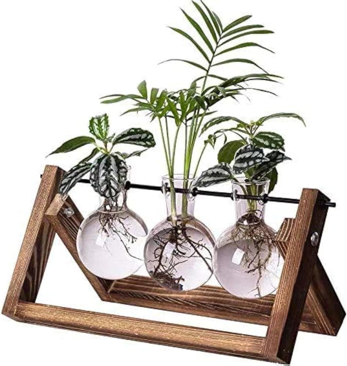Plant Terrarium Propagation Station - 3 Glass Bulb Vases with Retro Wooden Stand Boho Desktop Planter for Hydroponics Home Garden Indoor Home Office Decor Unique Gifts for Women