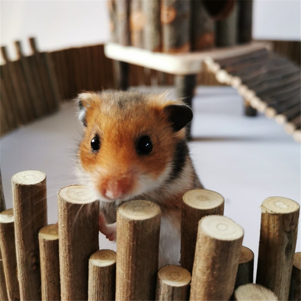 Hamster Bridge Hamster Wooden Fence Squirrel Flexible Bending Ladder Cage Toy Sandrat（30cm）