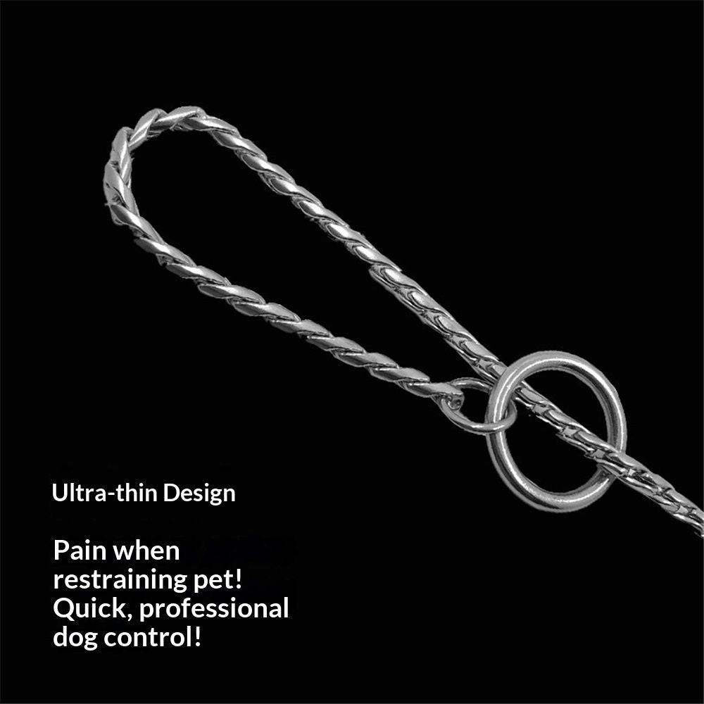 Dog P snake chain titanium steel metal dog training plug/collar is recommended for professional training (silver 4.5 * 45cm)