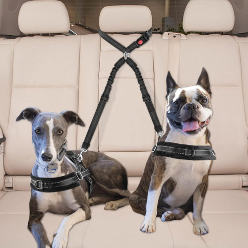 2pcs Dual Pet Car Headrest Restraint Safety Seatbelt No Tangle Dog Leash Duty Adjust Elastic Bungee Puppy Lead Splitter Connect Harness in Vehicle Travel(Black)
