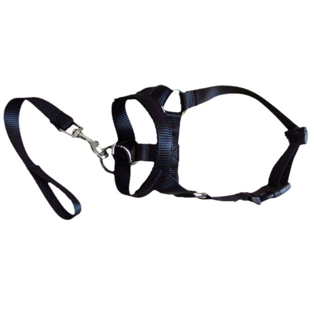 Pressure free dog training headband for traction, no traction hood, with adjustable seat belt for walking training, responsive large dog (M)Black
