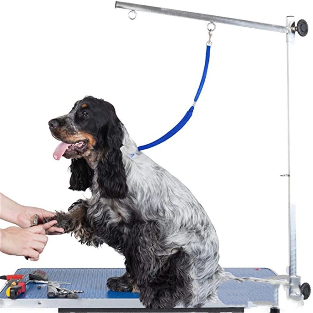 Pet Grooming Loop for Dogs | Fits Most Pet Grooming Tubs/Tables | Easy to Clean, Waterproof & Durable Loop（blue）