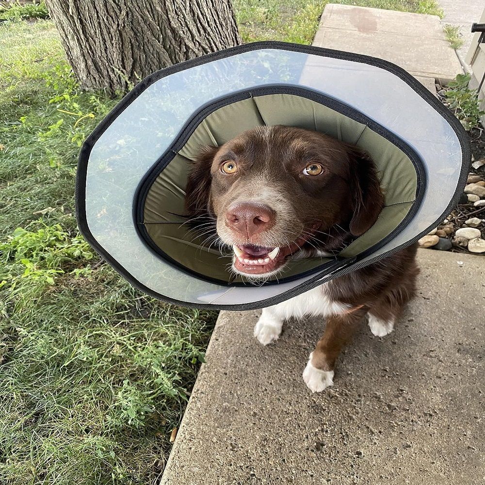 Soft Dog Cone Collar for Large Medium Dogs After Surgery, Adjustable Recovery Lightweight Collar for Dogs to Stop Licking (L)