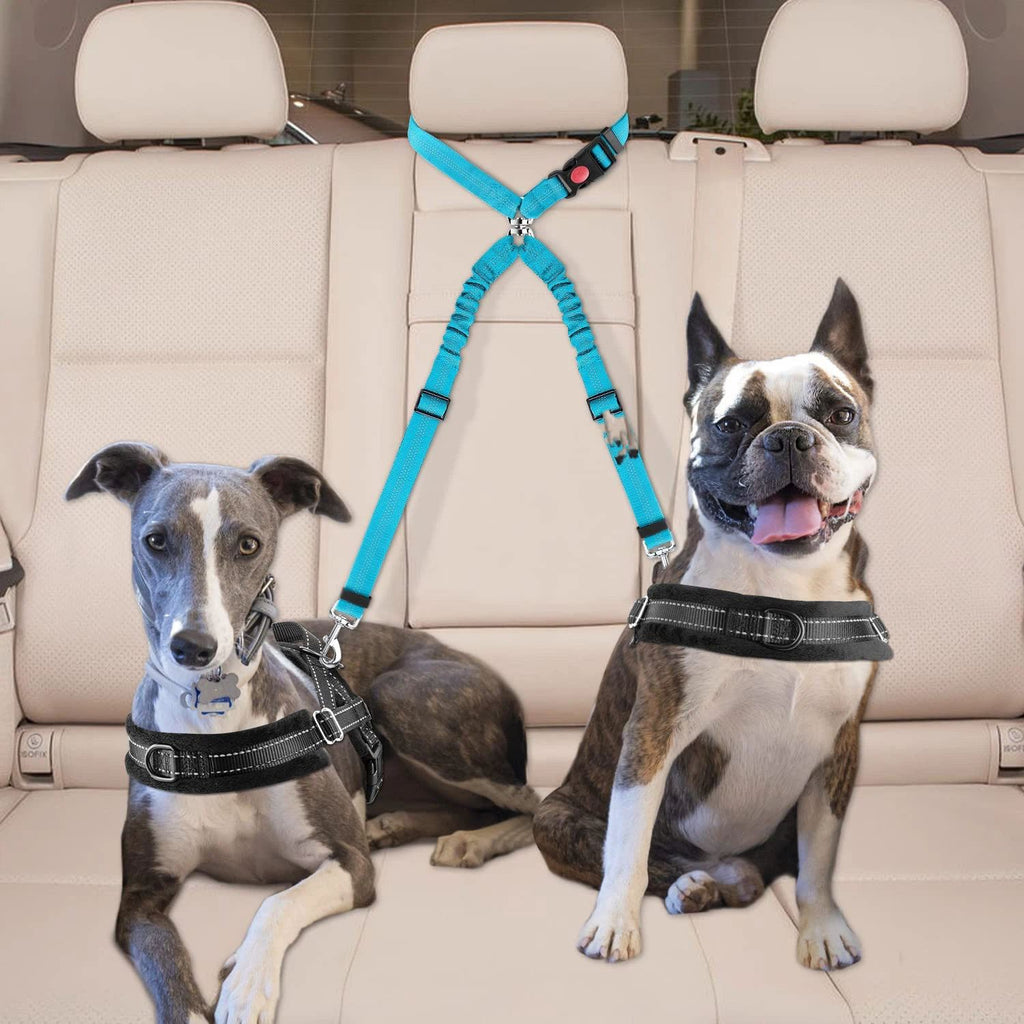 2 pack Double Dog Seat Belt, New Dual Pet Car Headrest Restraint Safety Seatbelt No Tangle Dog Leash Duty Adjust Elastic Bungee Puppy Lead Splitter Connect Harness in Vehicle Travel for 2 Dogs