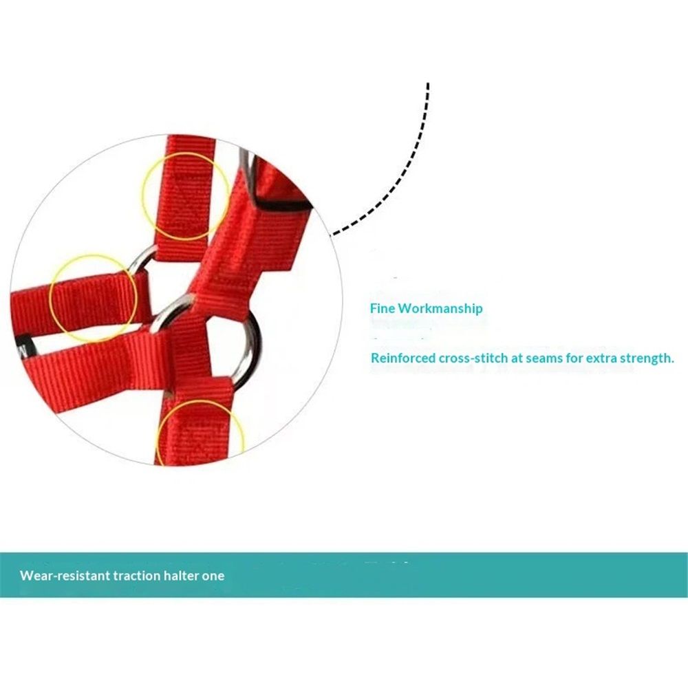 Equine Breakaway Horse Halter, Comfort Foam Padding, Adjustable Chin & Throat Snap Halters for Horses, Red（Medium (1.2-1.3 meters for horses)）