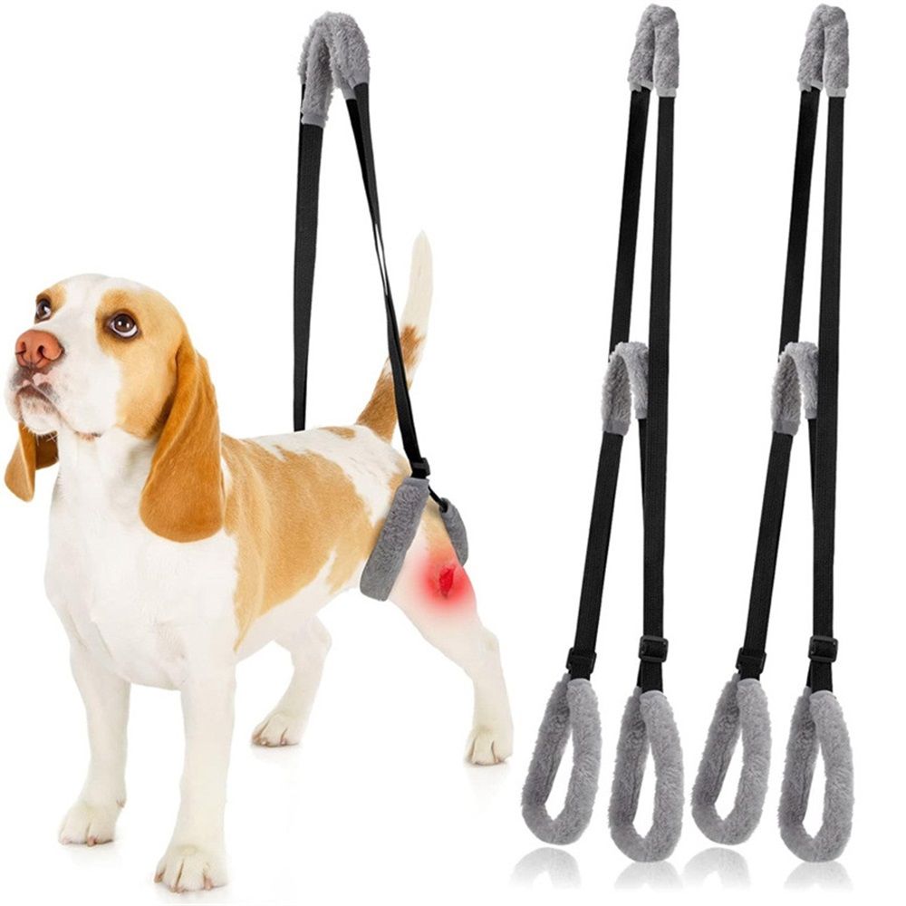 2 pack Sling for Dogs Back Legs Rear Support Harness for Paralyzed or Handicapped Pets Assistance Lift Slings for Hind Leg Mobility Small Dog Handicap Supplies for Joint Injuries and Stability Black