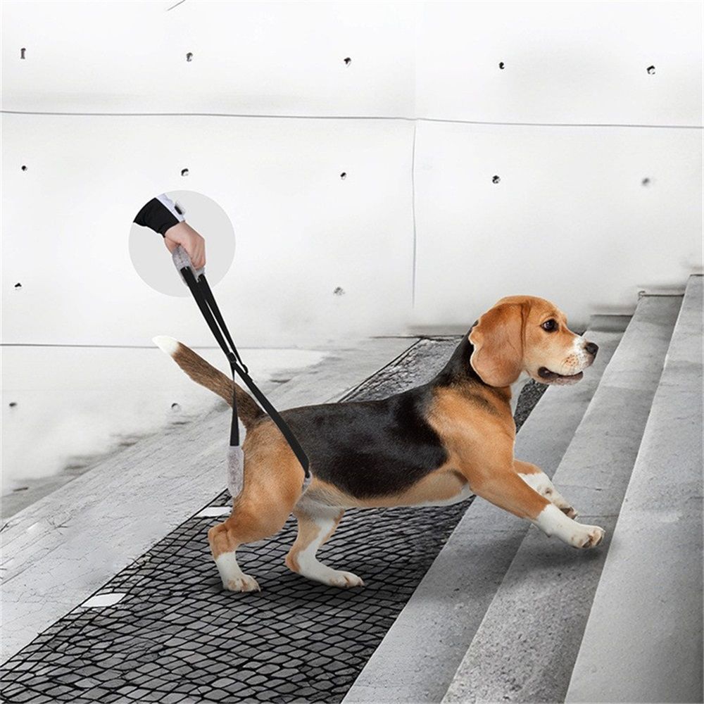 2 pack Sling for Dogs Back Legs Rear Support Harness for Paralyzed or Handicapped Pets Assistance Lift Slings for Hind Leg Mobility Small Dog Handicap Supplies for Joint Injuries and Stability Black