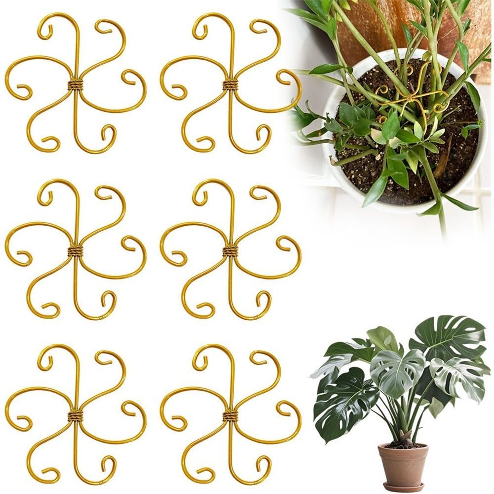 6 pack New iron Plant Stem Support Set, Flower Climbing Plant Support Plant Trellis, Indoor Plants (Round, Rustic)