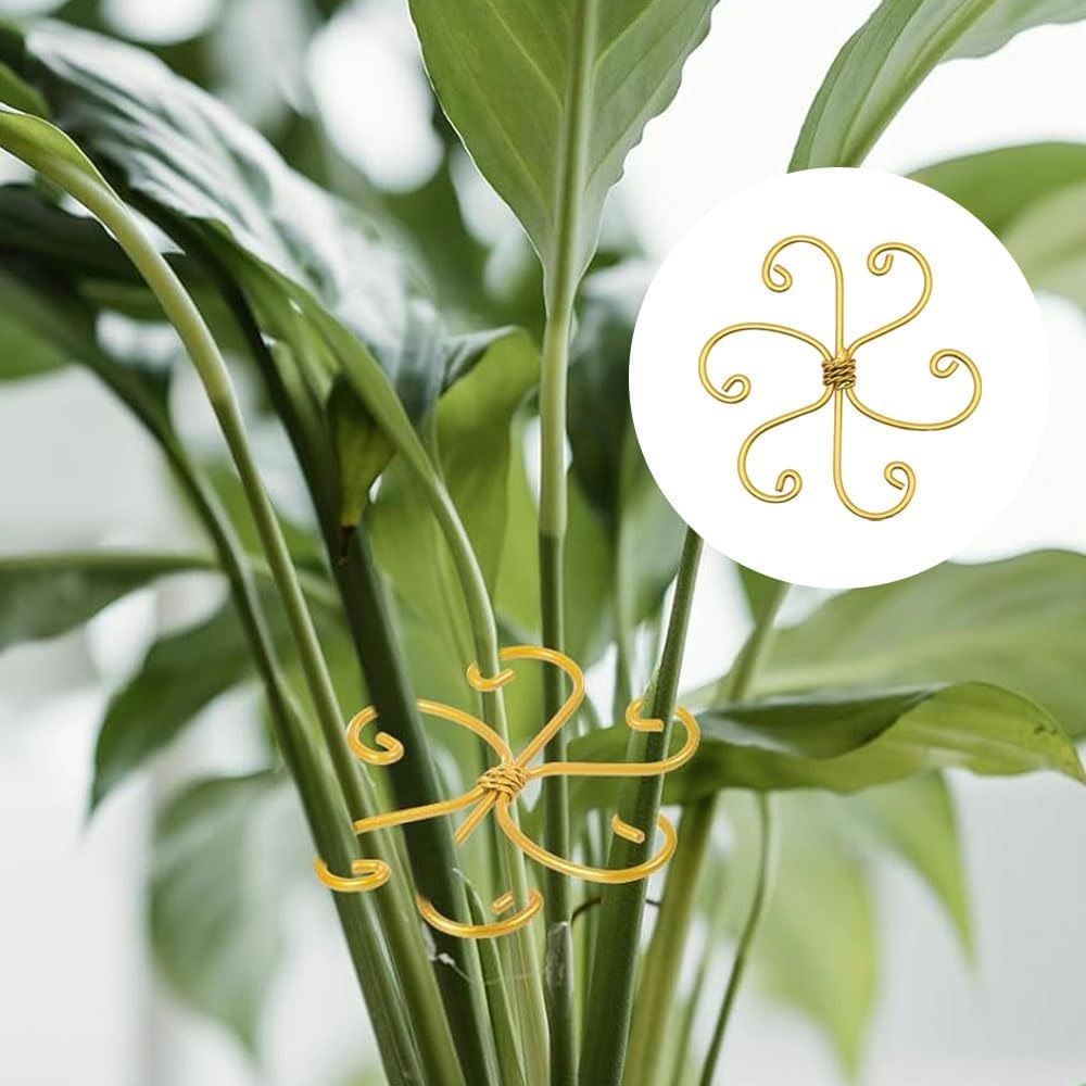 6 pack New iron Plant Stem Support Set, Flower Climbing Plant Support Plant Trellis, Indoor Plants (Round, Rustic)