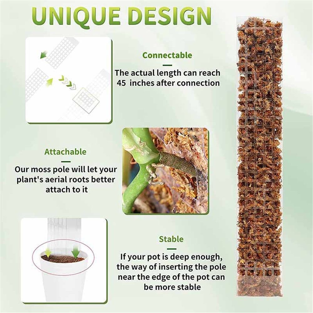 4 Pcs 24 Inch Plastic Moss Poles for – D-Shaped Plant Support for Climbing Vines, Compatible with Sphagnum Moss