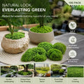 Light Green Mini Preserved String Moss Bonsai Filler 10g