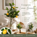 Style B Faux Lemon Garland Orchard Landscape Artificial Greenery