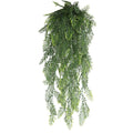 5-Fork Pteris Hanging Vine 3 pieces