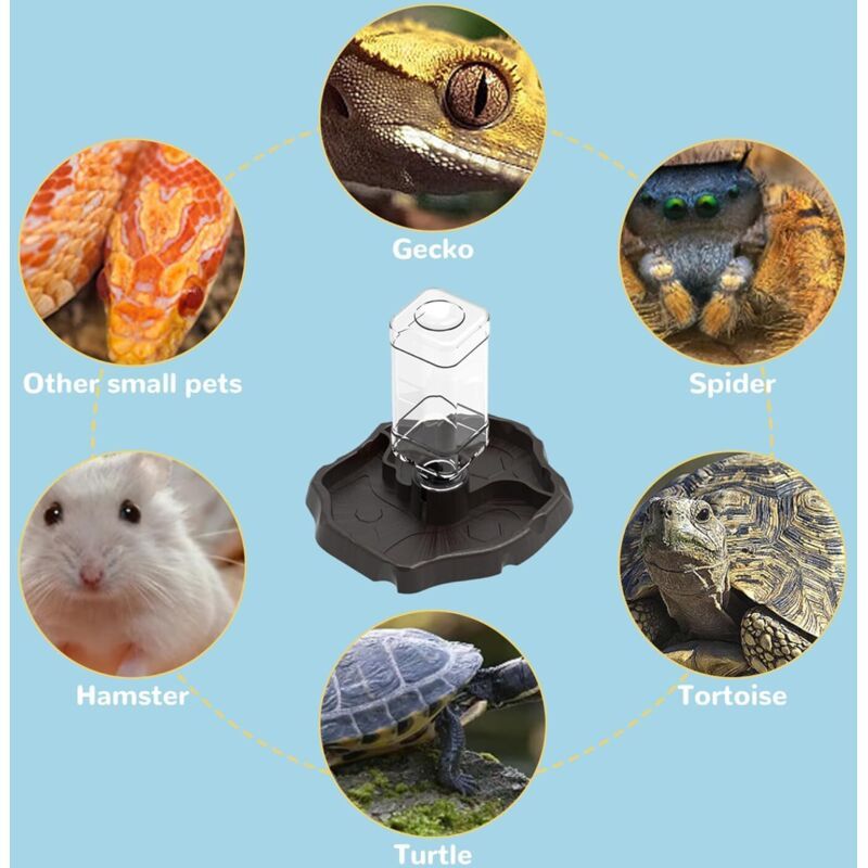 Reptile Water Bowl with Bottle Dispenser for Geckos Snakes Lizards Turtles