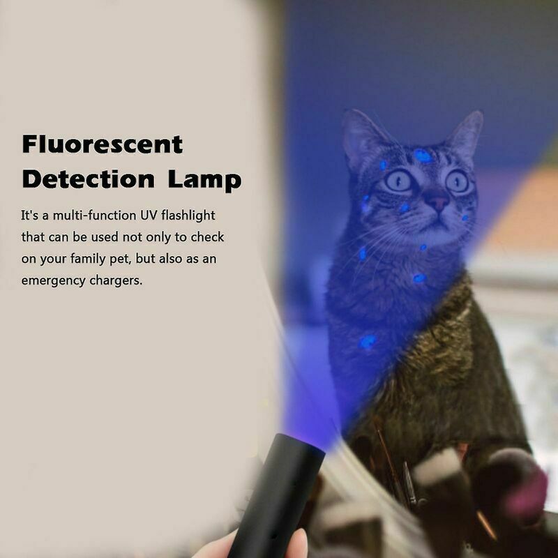 UV Torch 365nm USB Rechargeable Pocket Blacklight Fungus Detection Lamp