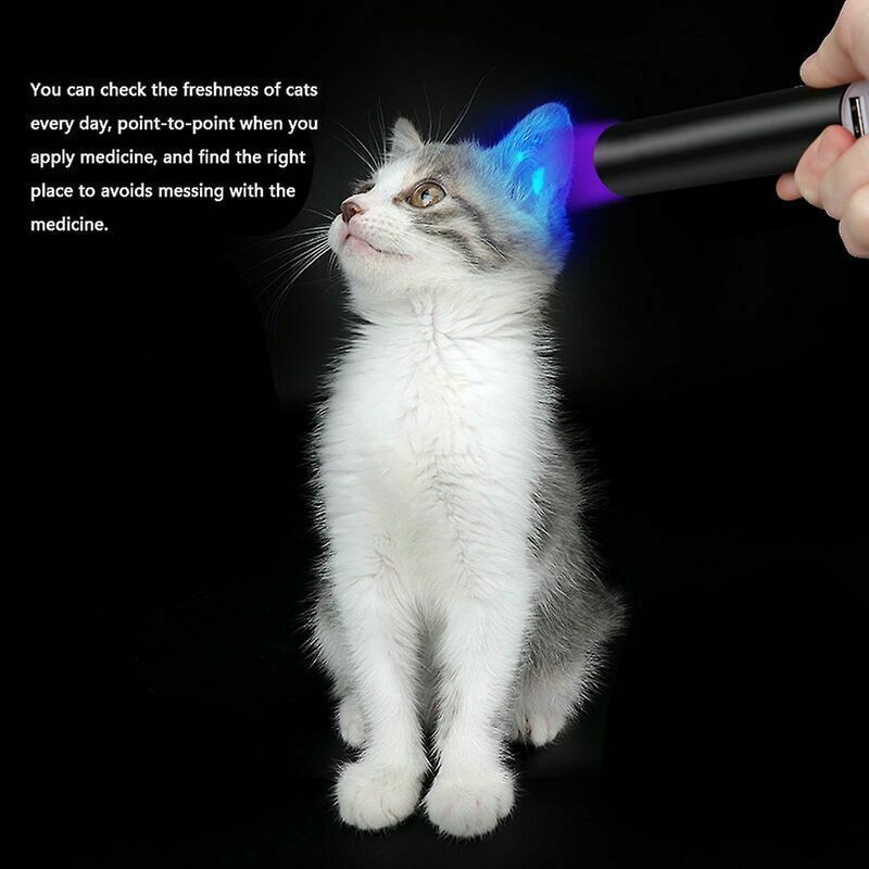 UV Torch 365nm USB Rechargeable Pocket Blacklight Fungus Detection Lamp