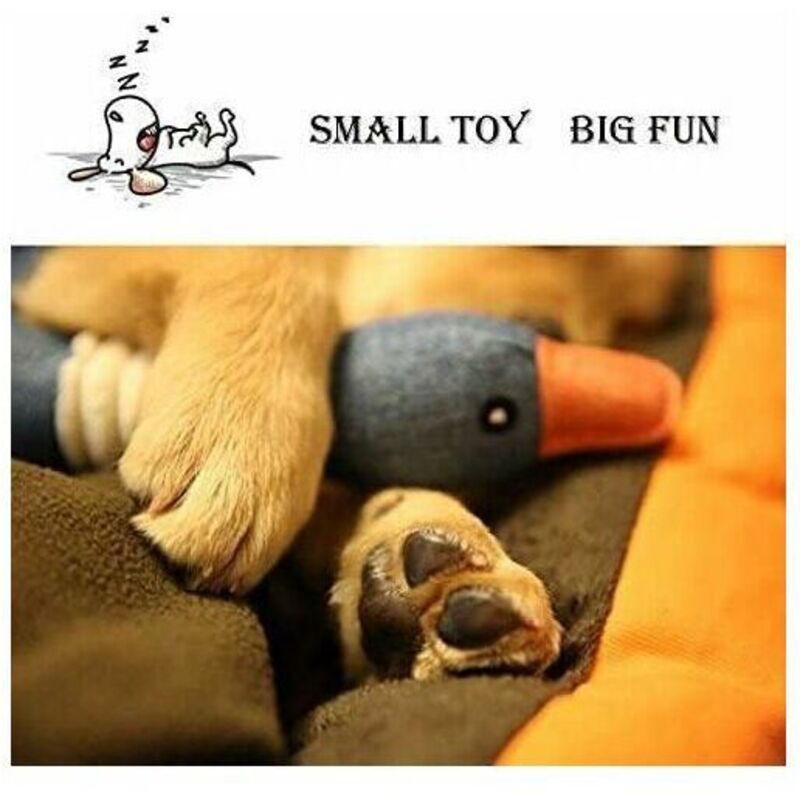 Plush Interactive Dog Toy Wild Goose 32cm Soft Squeaky Puppy Gift Blue