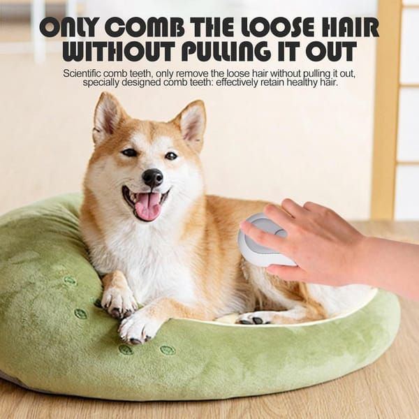 3 in 1 Steam Cat Brush, USB Rechargeable Pet Steaming Grooming Brush with Water Tank & Release Button, Self-Cleaning Massage Hair Remover Comb for Long Short Haired Dogs and Cats