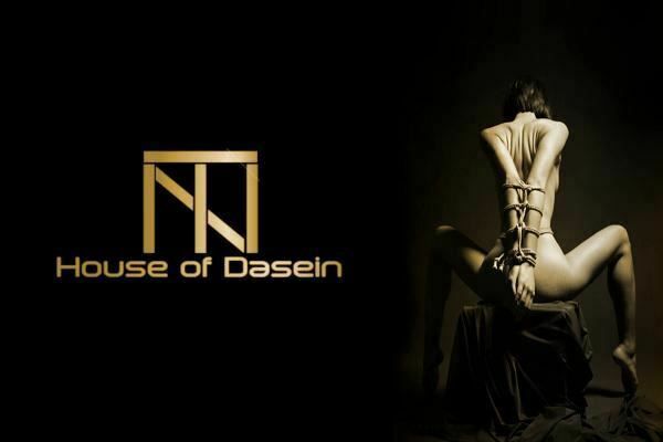 House Of Dasein Swing With Frame Inflatable Sex Pillow Hanging Love Chair