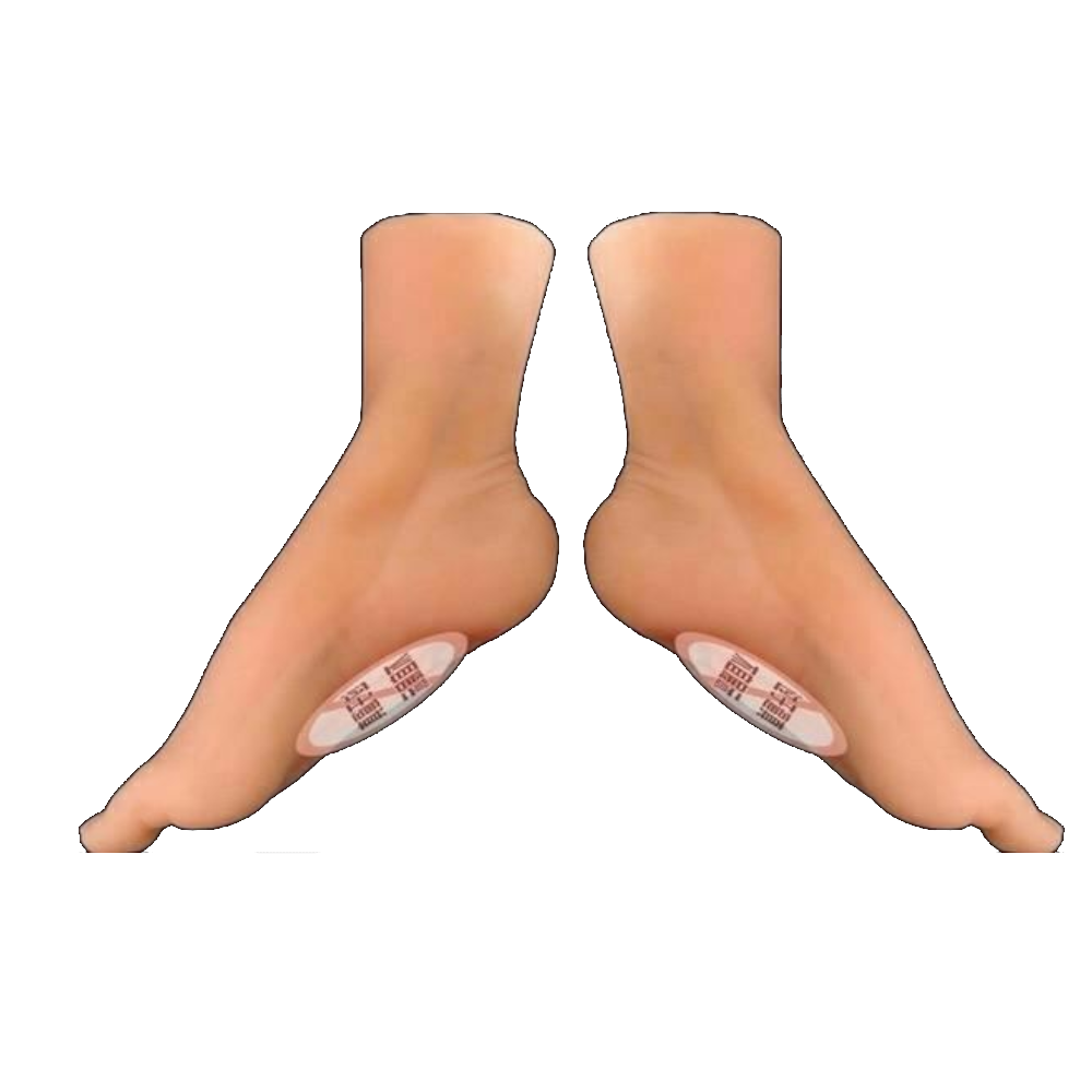 House Of Dasein Foot Fetish Male Masturbators Super Realistic Artificial Feet Vagina Pocket Pussy - Pair Of Feet (Vagina)