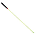 House Of Dasein Bdsm Training Acrylic Cane Impact Play Sting - Green