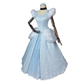 House Of Dasein Cinderella Dress High Quality Cosplay Princess Costume Adult - Custom Made