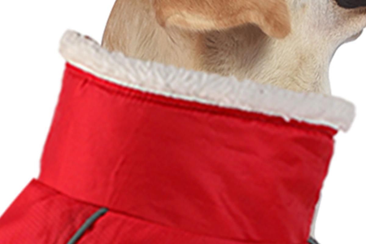 Dogcheer Dog Coat Reflective Dog Snow Jacket for Small Medium Large Dogs -Red L