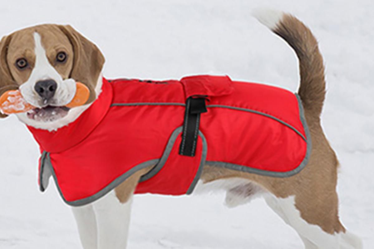 Dogcheer Dog Coat Reflective Dog Snow Jacket for Small Medium Large Dogs -Red L