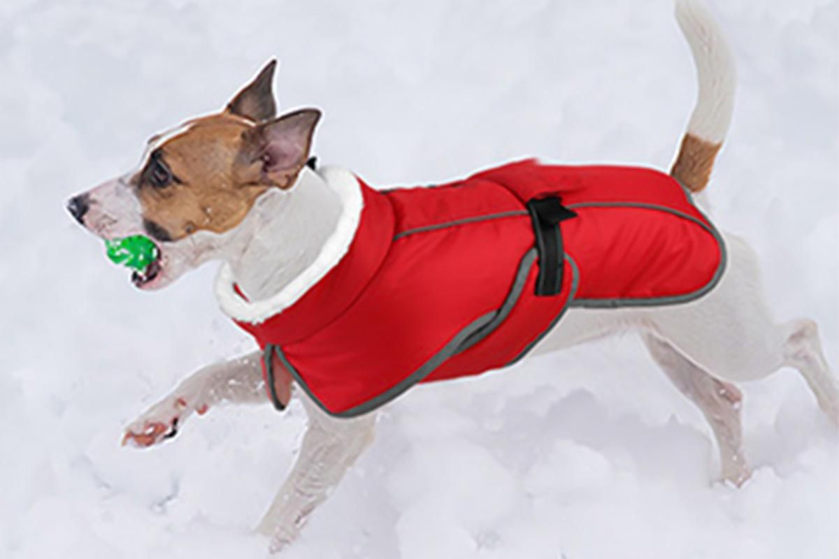 Dogcheer Dog Coat Reflective Dog Snow Jacket for Small Medium Large Dogs -Red L