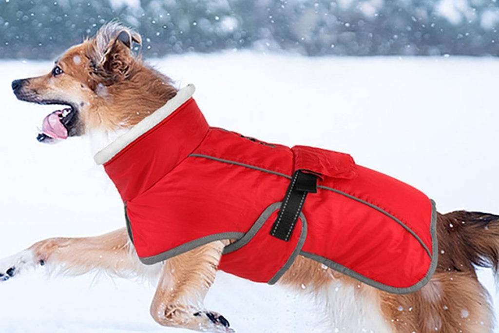Dogcheer Dog Coat Reflective Dog Snow Jacket for Small Medium Large Dogs -Red XL