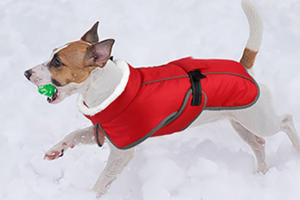 Dogcheer Dog Coat Reflective Dog Snow Jacket for Small Medium Large Dogs -Red XL