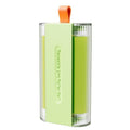 Double Roller Washable Lint Remover with Dust Cover, Portable Reusable Pet Hair and Dust Sticky Roller—Green
