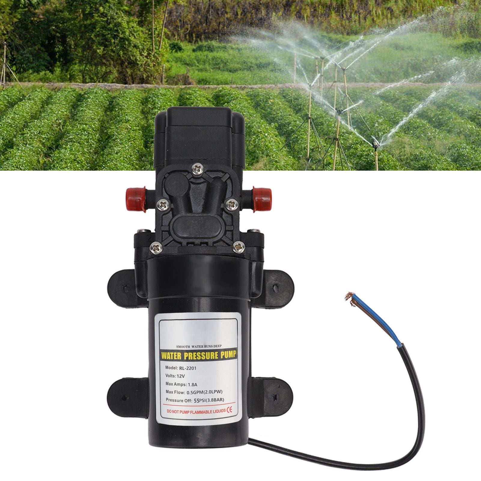Water Pressure Diaphragm Pump Self Priming Diaphragm Pump High Pressure Water Pump for Outdoor RL 2201 12V