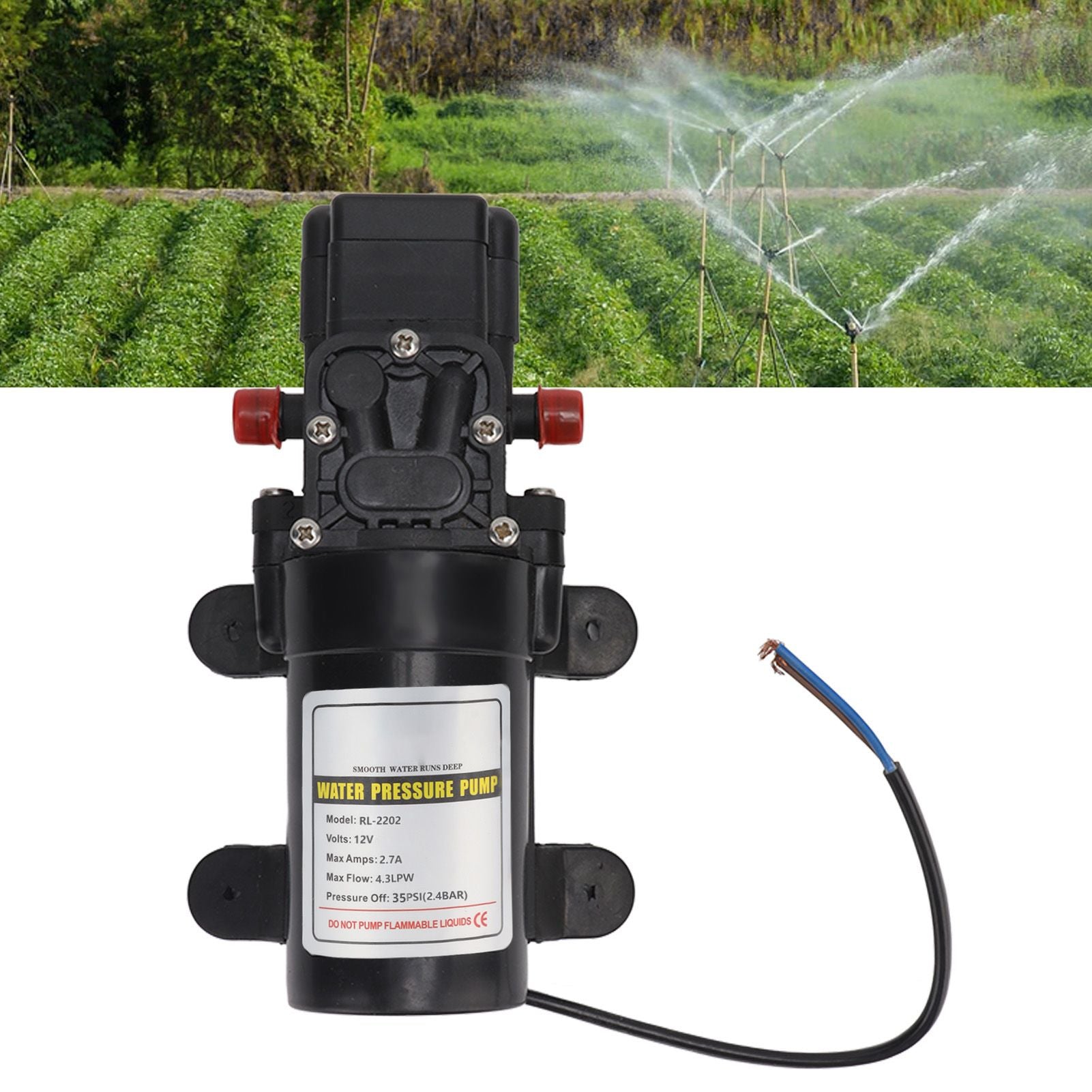 Water Pressure Diaphragm Pump Self Priming Diaphragm Pump High Pressure Water Pump for Outdoor RL 2202 12V