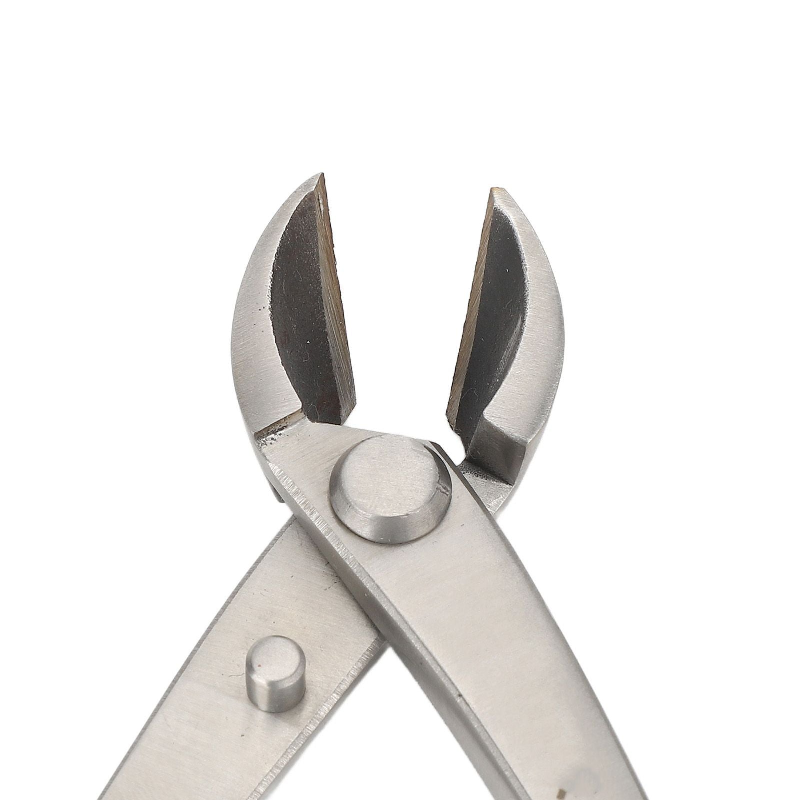 Bonsai Scissors 165mm Stainless Steel Scissors with Ergonomic Handle for Bonsai Modeling Flower Flower Arrangement