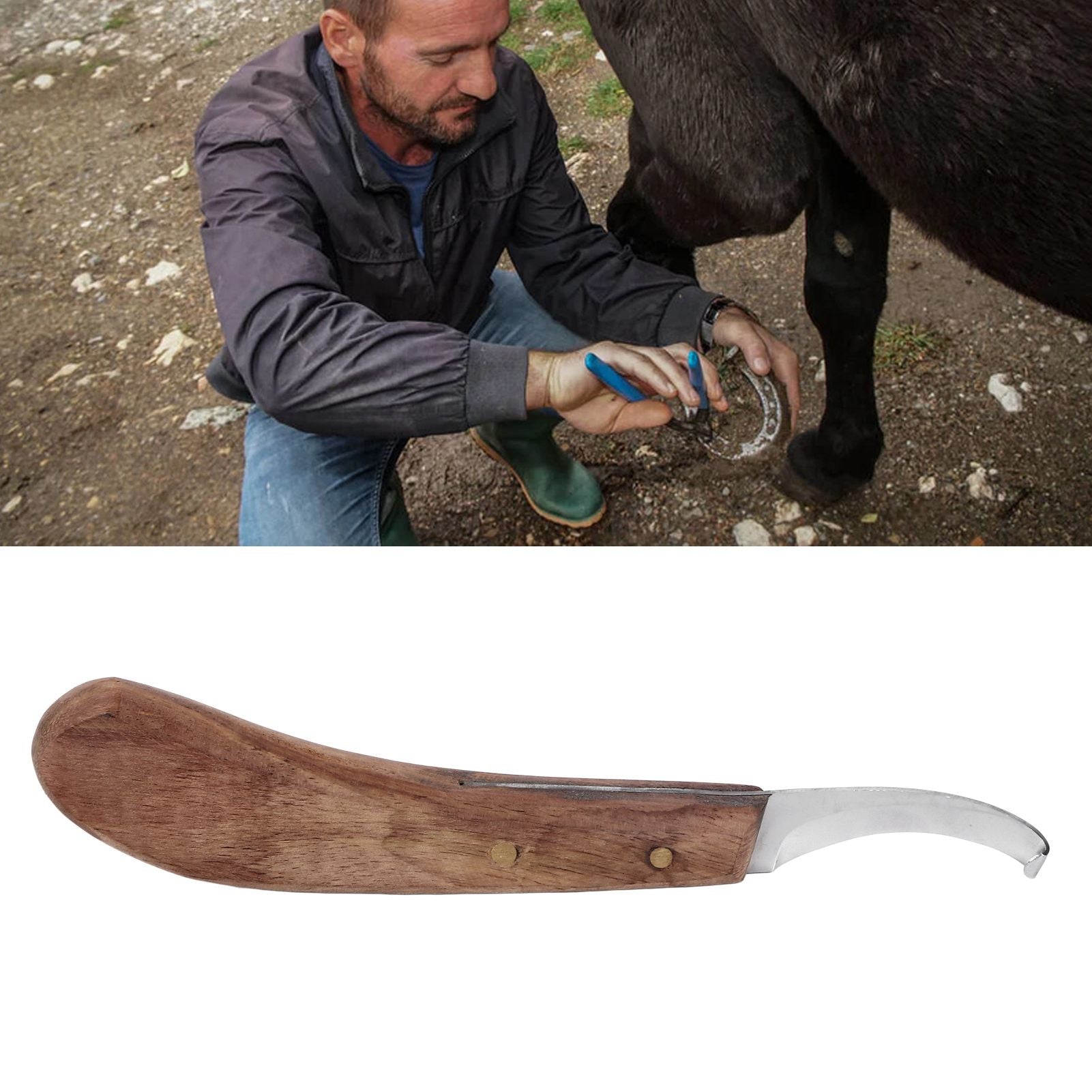 Horse Hoof Knife Curved Fine Carbon Steel Blade Ergonomic Left Hand Hoof Trimmer for Farm