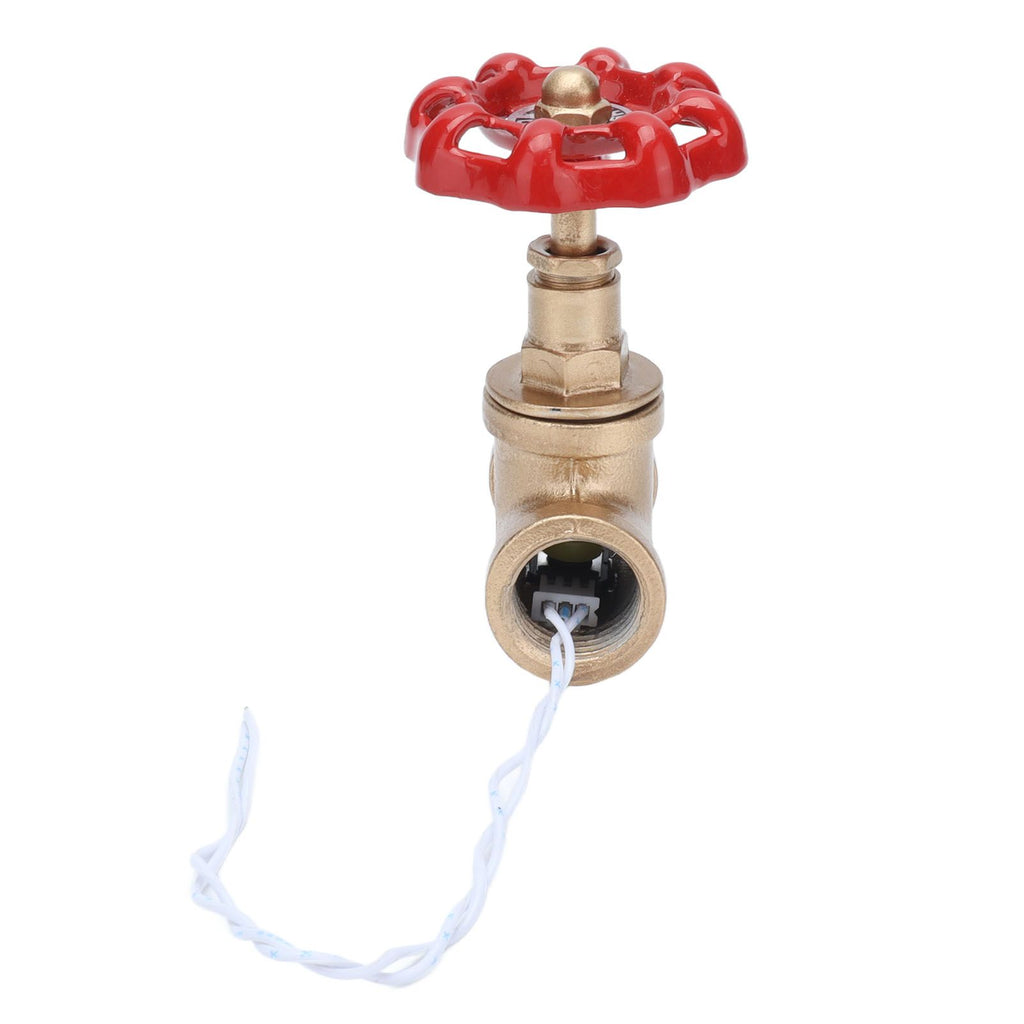 G1/2 Industrial Light Switch Water Pipe Light Switch Steampunk Lamp Switch with Wire 12V/120V