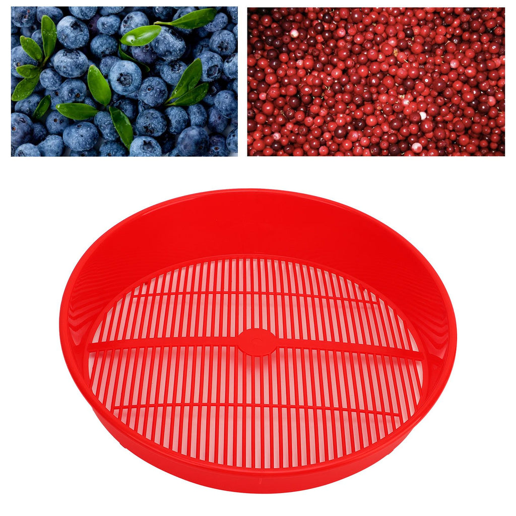 Plastic Blueberry Sieve Washing Sieve Fruit and Vegetable Washing Basket Drain Basket for Kitchen
