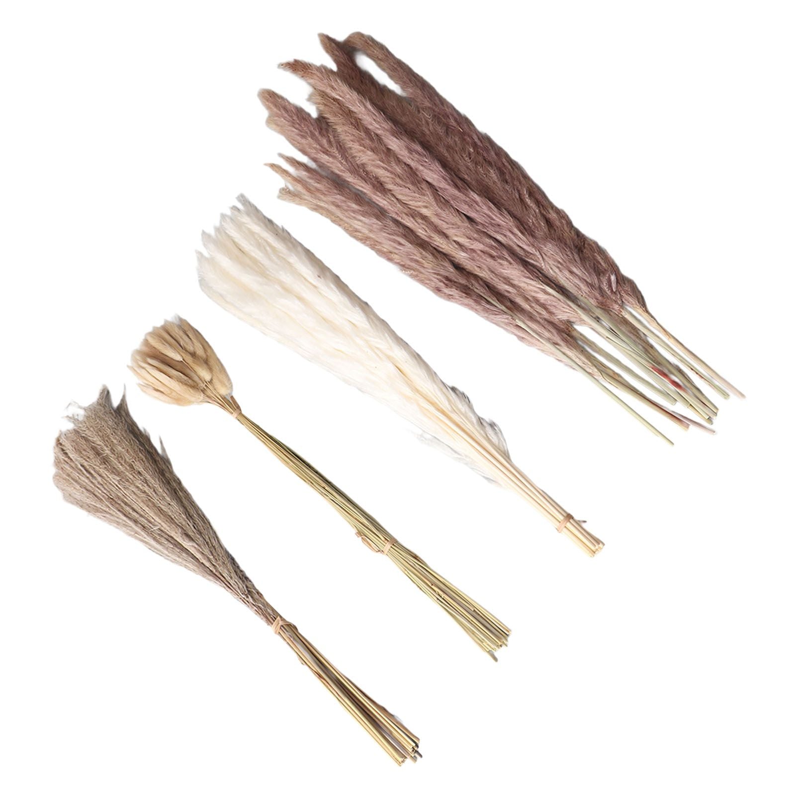 Natural Dried Pampas Grass Fluffy 15PCS White Pampas 15PCS Brown Pampas 50PCS Bunny Tail Grass 20PCS Reed Grass for Home Wedding Decor
