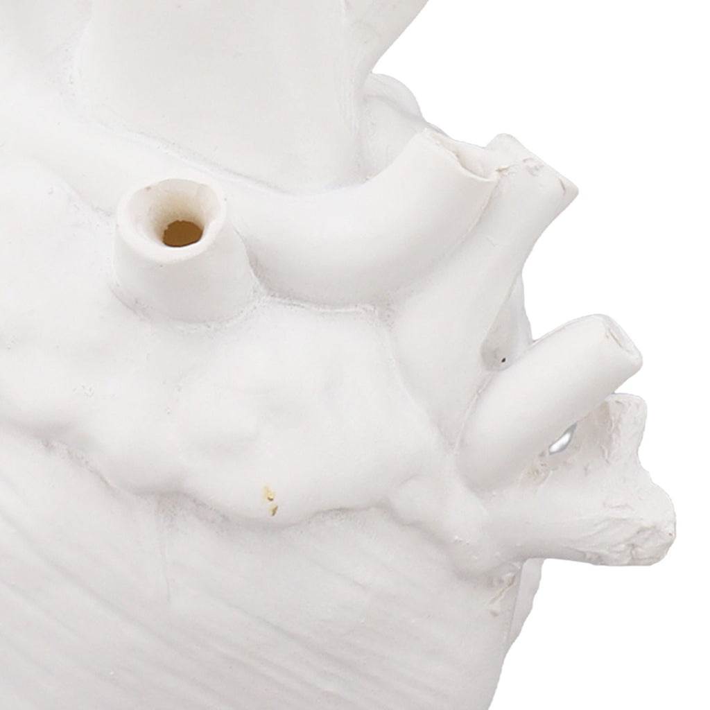 Heart Shaped Vase Decorative Modern Resin Exquisite Planter Pot for Home Office Bedroom Wedding White