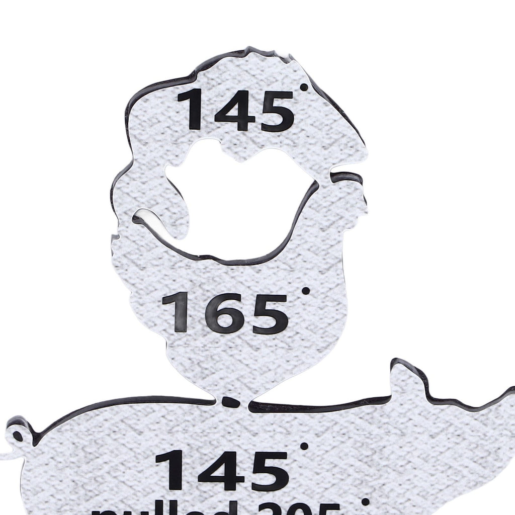 Meat Temperature Magnet Animal Internal Temperature Guide Acrylic Beef Pork Chicken Fish Grill Accessory for BBQ Cooking